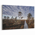 Estonia Wall Art – Scenic Boardwalk through Estonian Nature Landscape