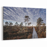 Estonia Wall Art – Scenic Boardwalk through Estonian Nature Landscape