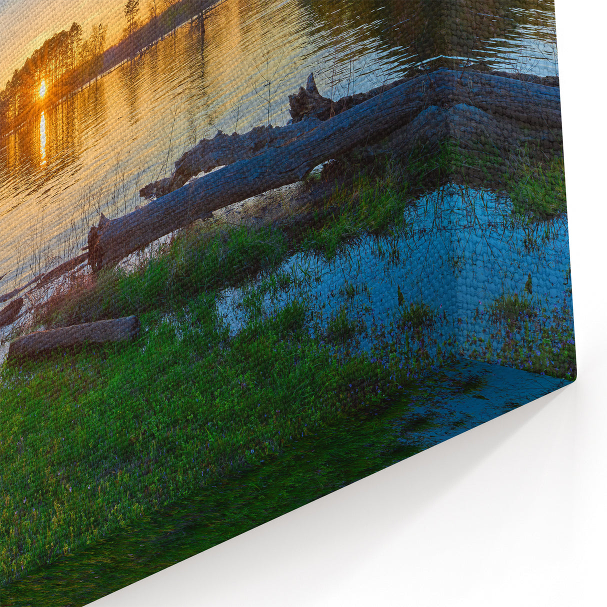 Arkansas Landscape Prints - Sunset Over Calm Lake with Tree Reflections Art