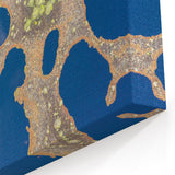 Estonian Nature Photography – Aerial View of Estonia’s Bog Landscape