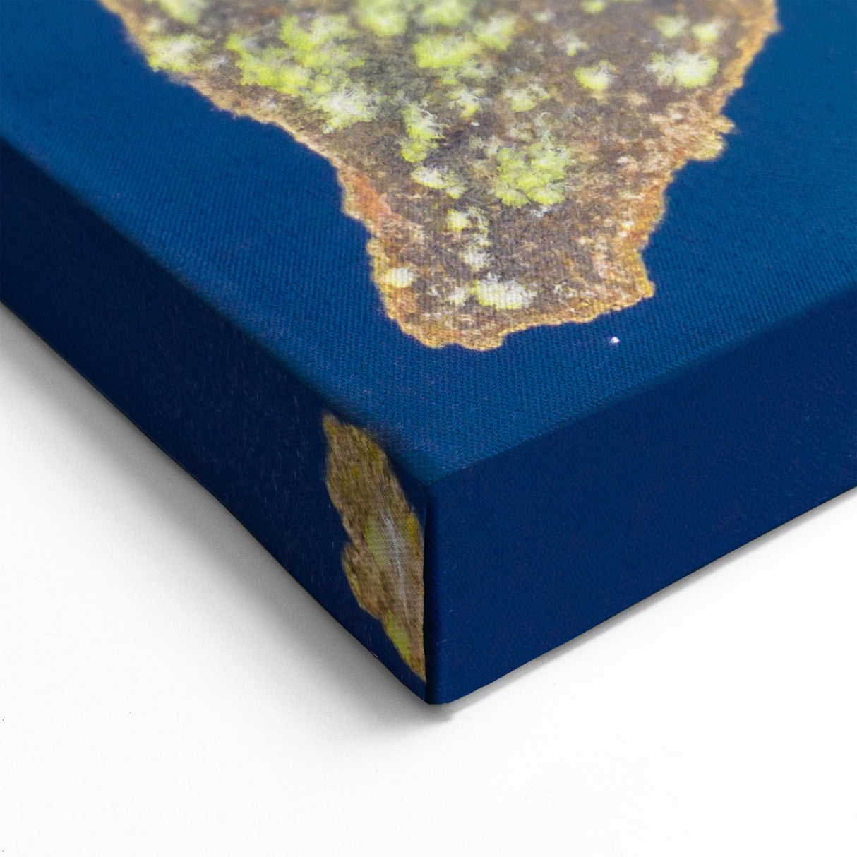 Estonian Nature Photography – Aerial View of Estonia’s Bog Landscape