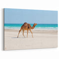 Camel on Omani Beach Wall Art – Scenic Arabian Peninsula Coastal Print