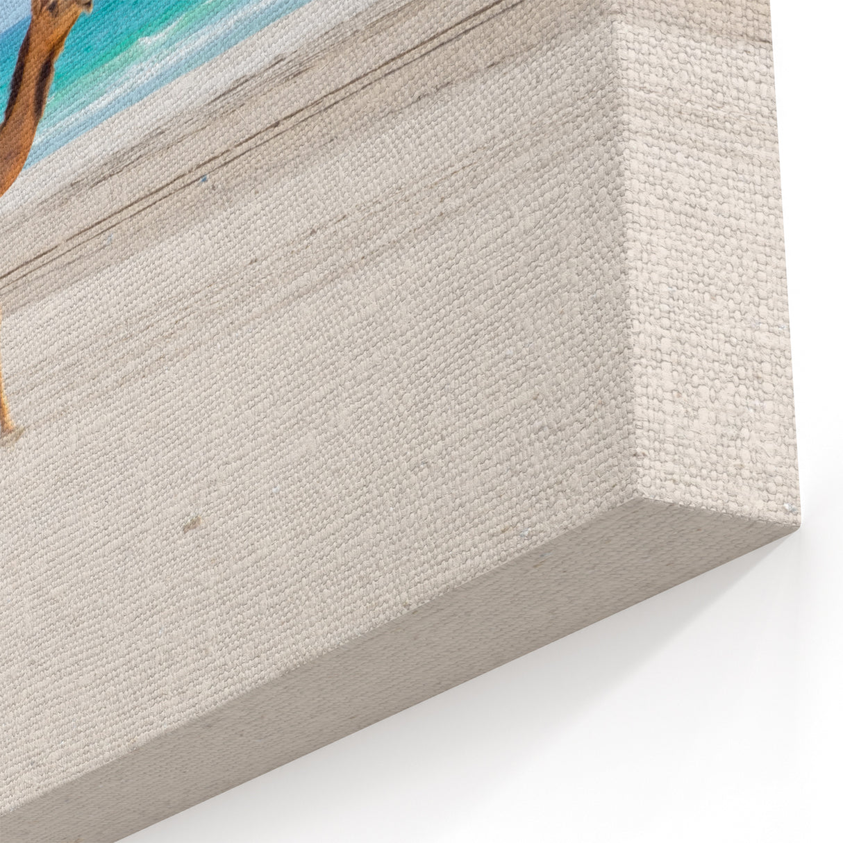 Camel on Omani Beach Wall Art – Scenic Arabian Peninsula Coastal Print