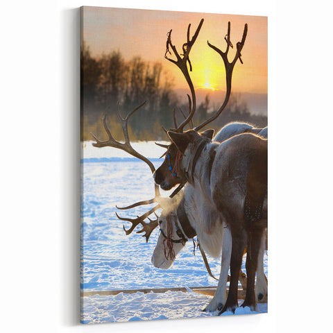 Finland Scenery Wall Art - Nordic Landscape Prints of Reindeer at Sunrise