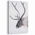 Finnish Nature Canvas - Majestic Reindeer in Snowy Nordic Landscape Print