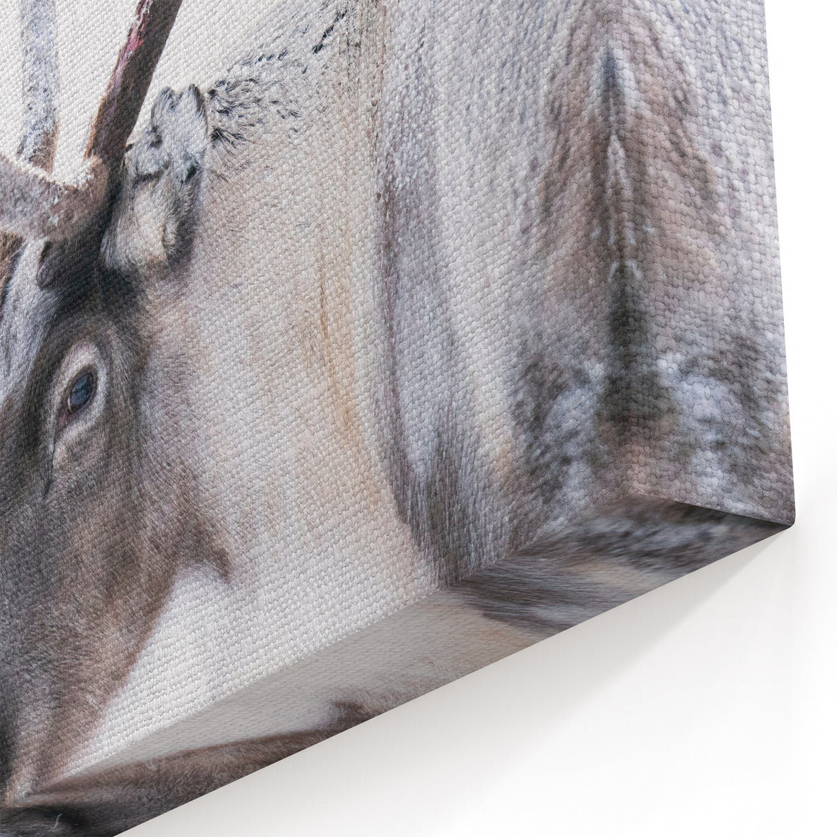 Finnish Nature Canvas - Majestic Reindeer in Snowy Nordic Landscape Print