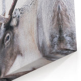 Finnish Nature Canvas - Majestic Reindeer in Snowy Nordic Landscape Print