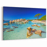 Mediterranean Art: Corsica - Rocky Shoreline and Clear Waters Canvas Print