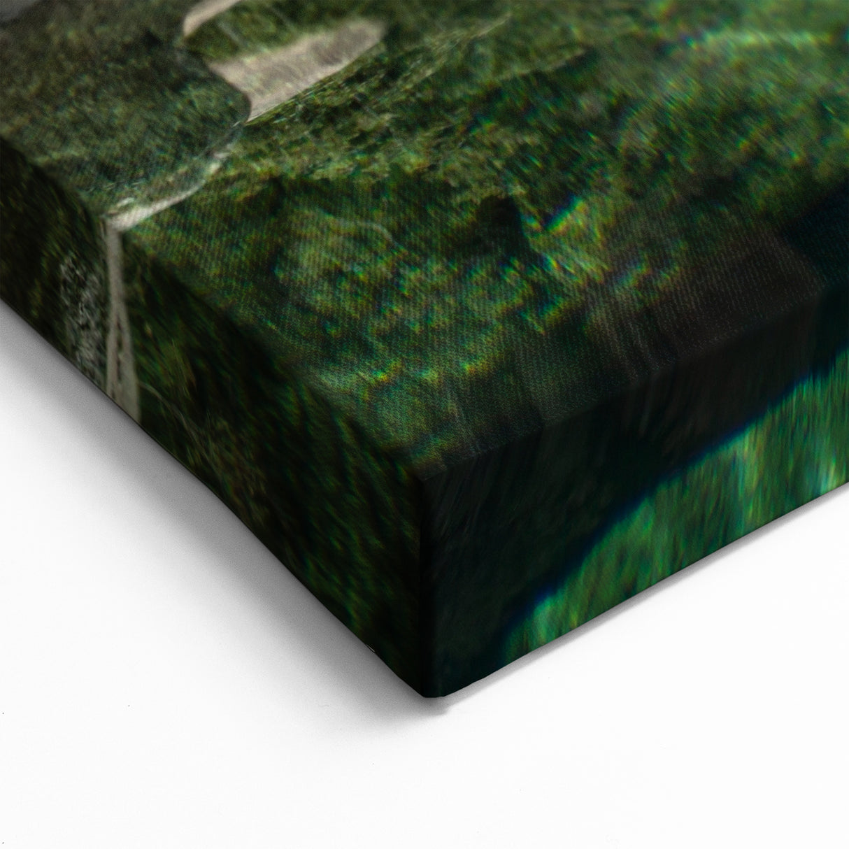 Corsican Landscape Art - Tranquil Rock Pool and Forest Scenic Photography Print