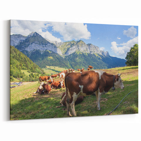 French Alps Wall Art – Cows Grazing in Scenic Alpine Pasture