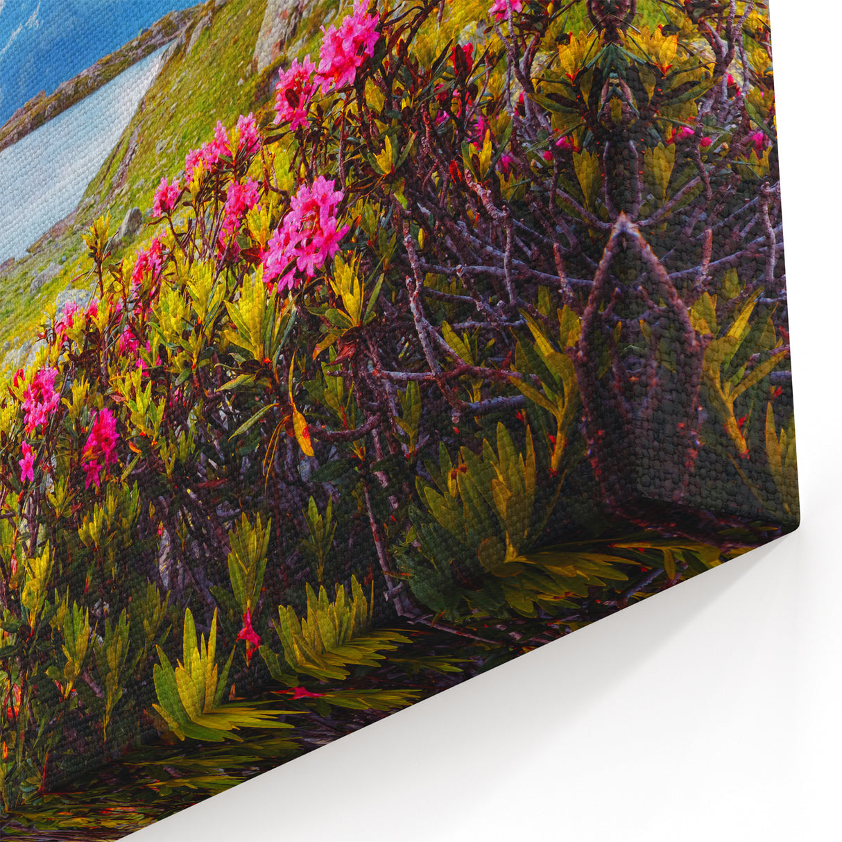 French Alps Canvas Prints – Alpine Flowers and Mountain Lake Scenery
