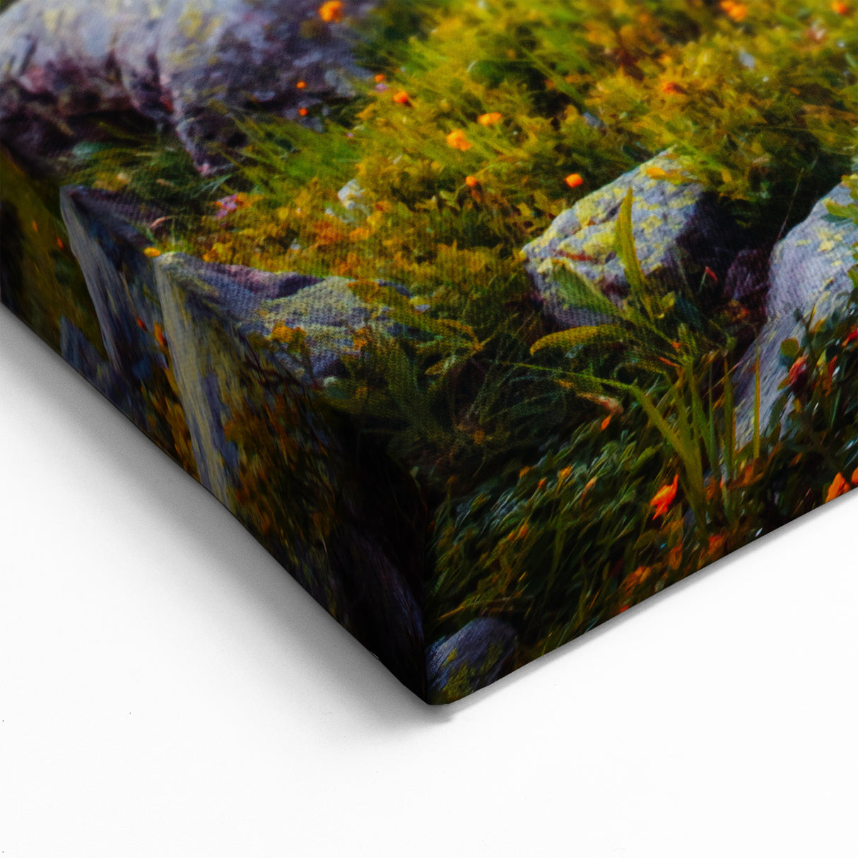 French Alps Canvas Prints – Alpine Flowers and Mountain Lake Scenery