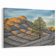 Serene Arizona Desert Landscape with Lone Tree - Coyote Buttes Wall Art