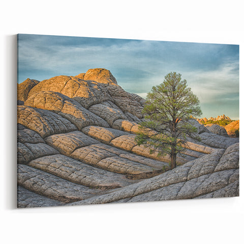 Serene Arizona Desert Landscape with Lone Tree - Coyote Buttes Wall Art