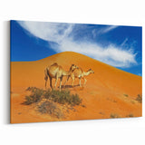 Camels in Oman Desert Wall Art – Vibrant Arabian Peninsula Landscape Print
