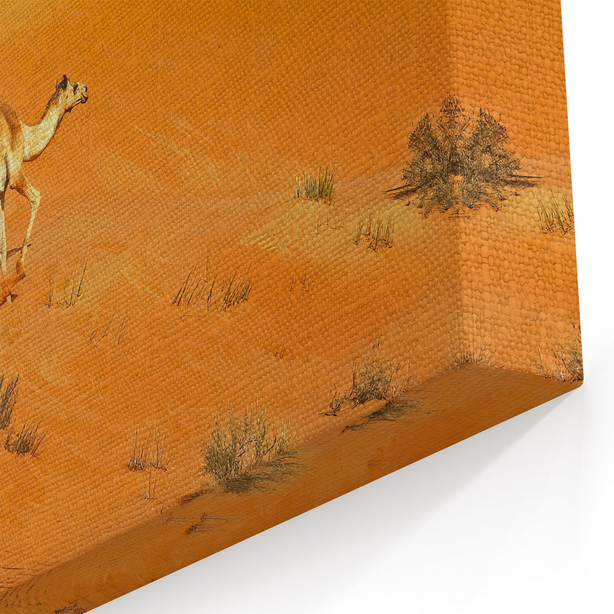 Camels in Oman Desert Wall Art – Vibrant Arabian Peninsula Landscape Print