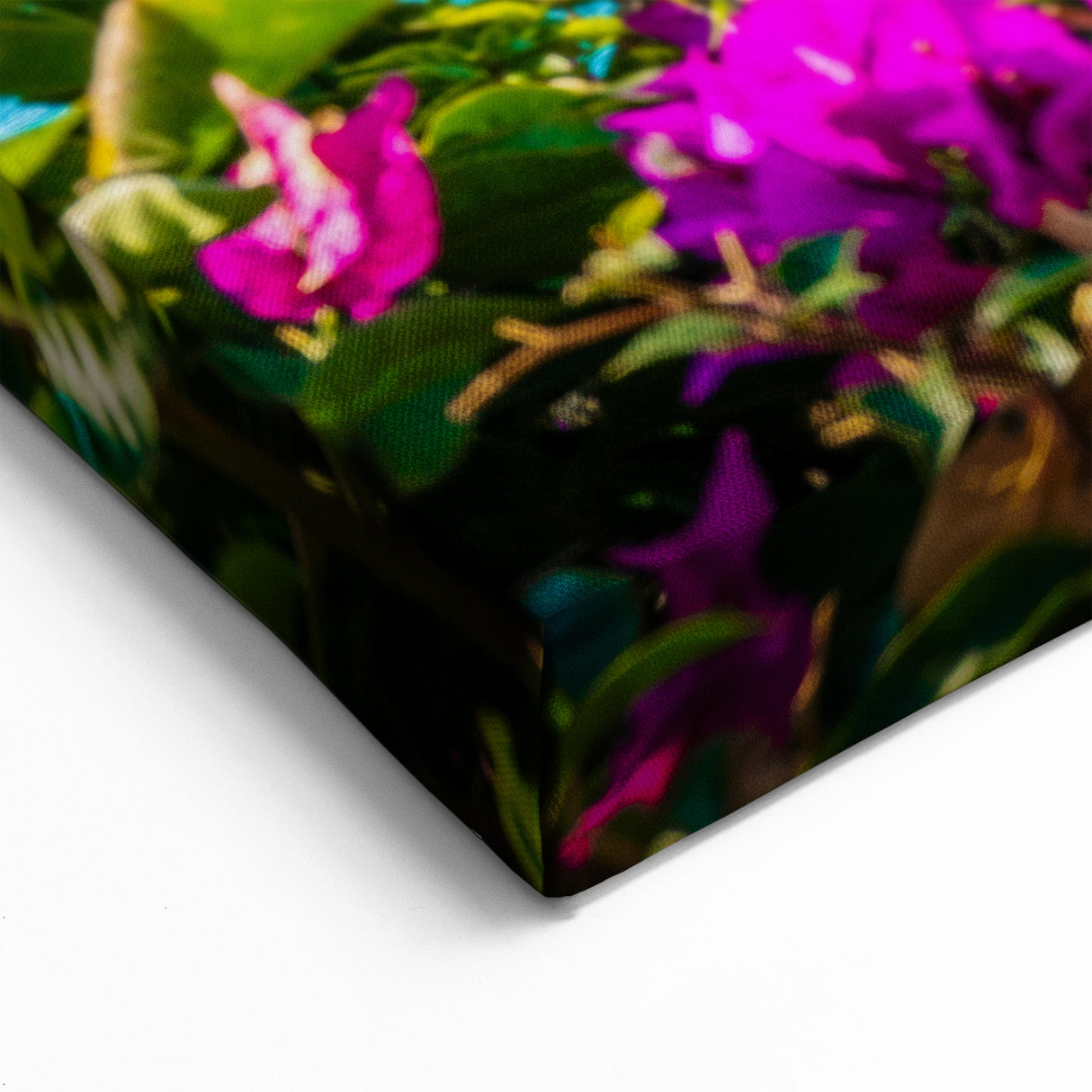 Coastal Nice Artwork - French Riviera Harbor with Floral Views