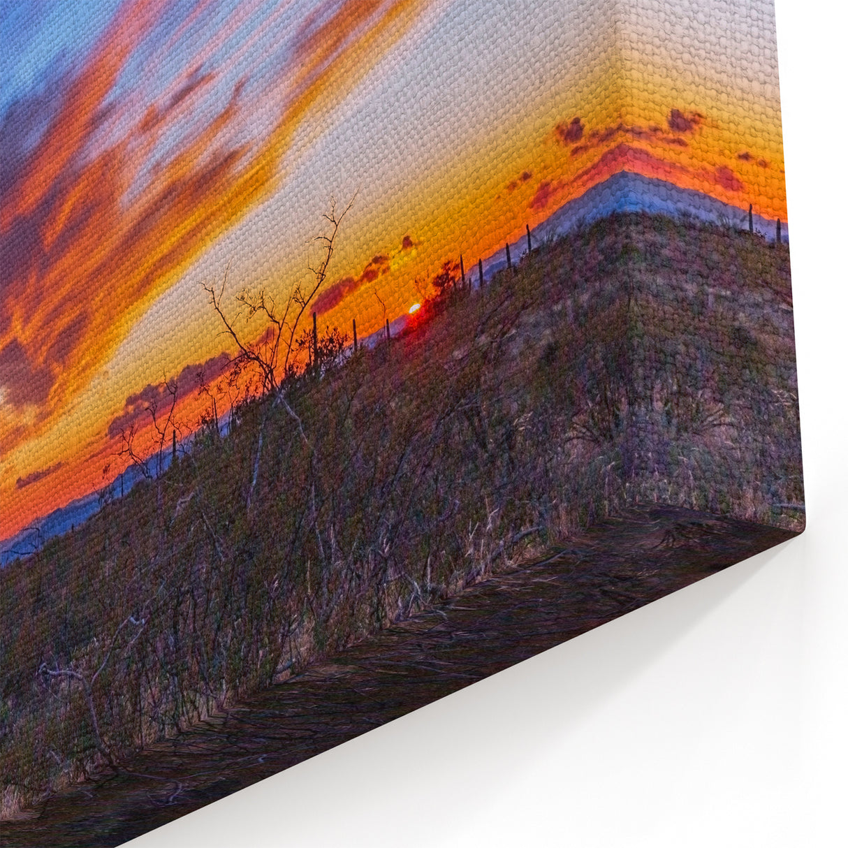 Arizona Desert Landscape Wall Art - Sunset Saguaro Cactus Scenery Print