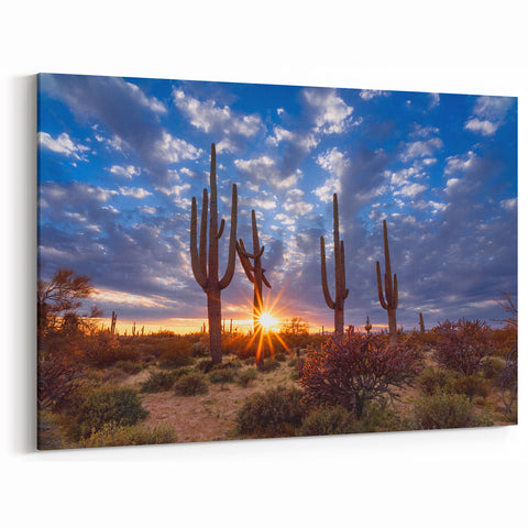 Arizona Desert Sunrise Wall Art - Majestic Saguaro Cactus Landscape Print