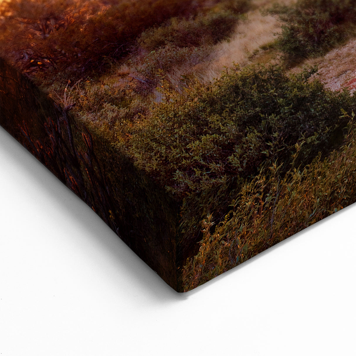 Arizona Desert Sunrise Wall Art - Majestic Saguaro Cactus Landscape Print