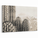 Black and White Art - Arizona Desert Cactus Photography Sedona Wall Art