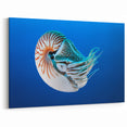 Nautilus Shell Print – Tropical Island Ocean Art