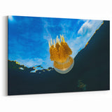 Golden Jellyfish Swim Art – Unique Pacific Ocean Art
