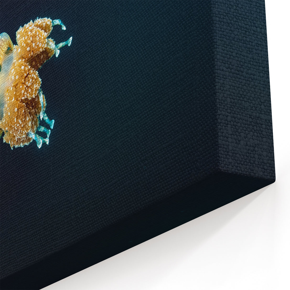 Blue Jellyfish Underwater Art – Scenic Micronesian Prints