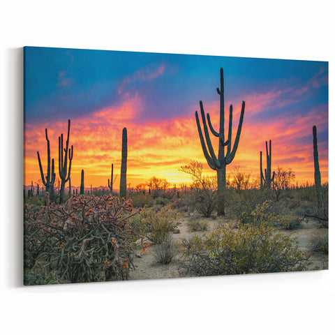 Arizona Desert Landscape Art - Vibrant Sunset with Cactus Silhouettes