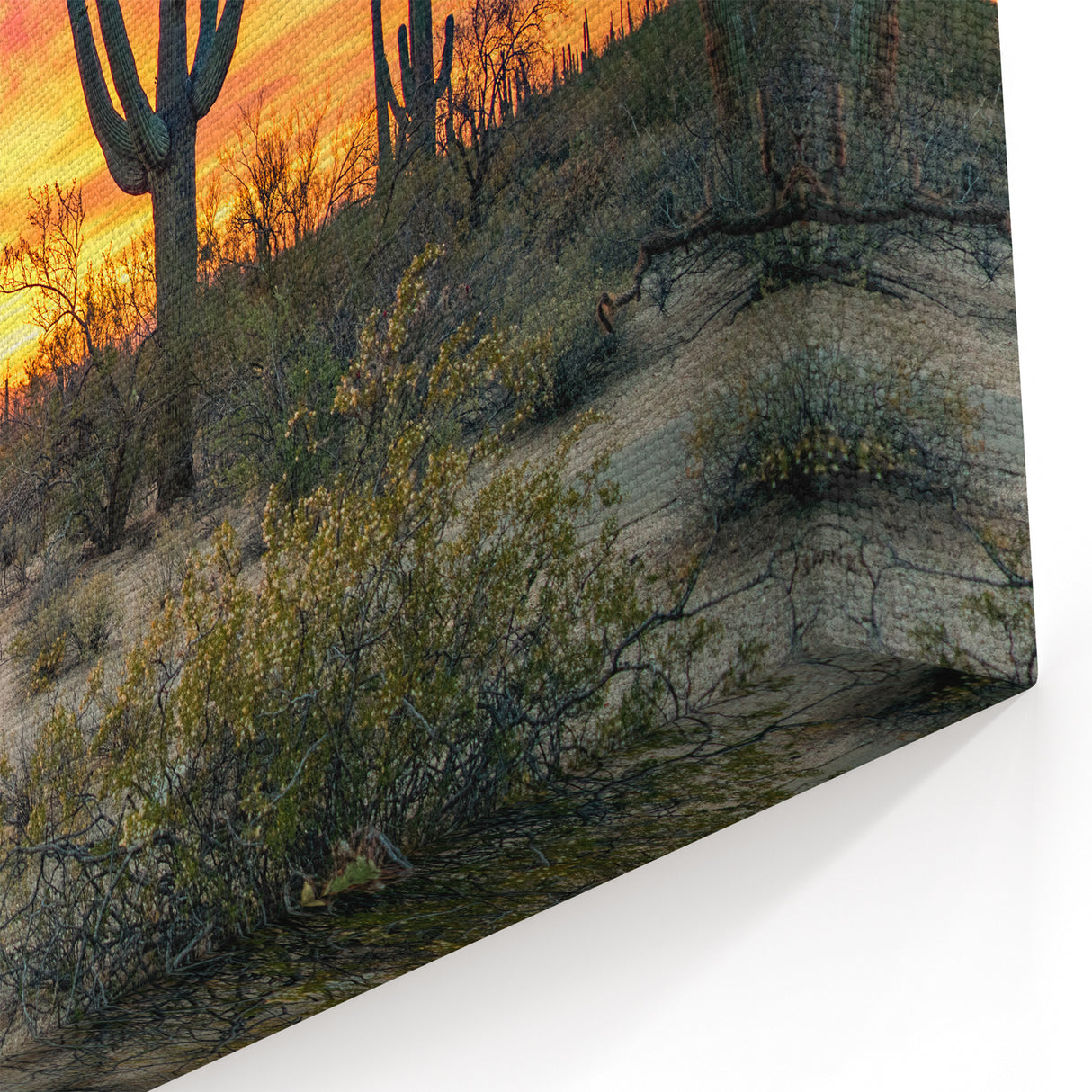 Arizona Desert Landscape Art - Vibrant Sunset with Cactus Silhouettes