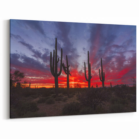 Southwestern Decor Art - Fiery Sunset Over Arizona Cactus Landscape