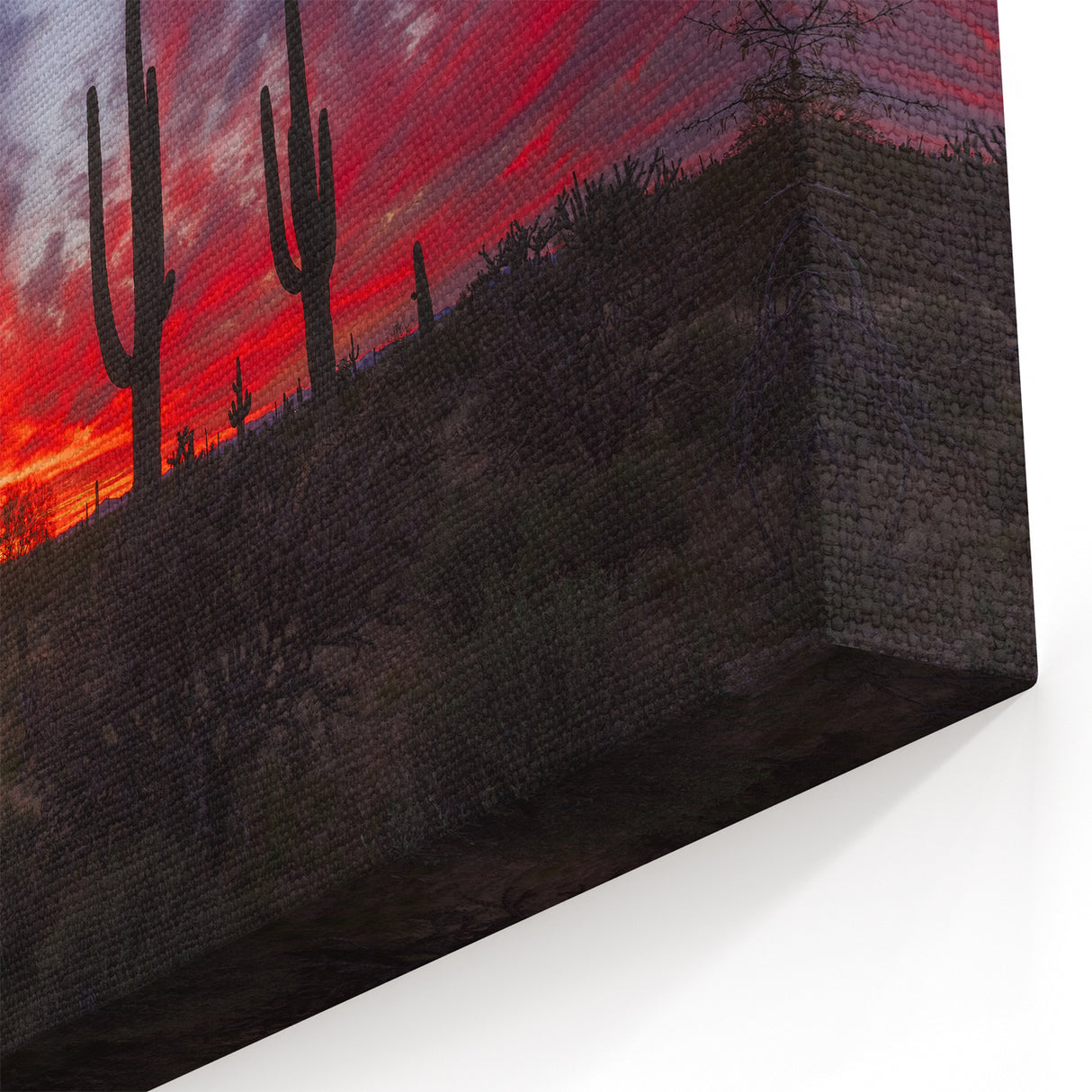 Southwestern Decor Art - Fiery Sunset Over Arizona Cactus Landscape