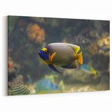 Tropical Marine Fish Print – Vibrant Oceanic Artwork