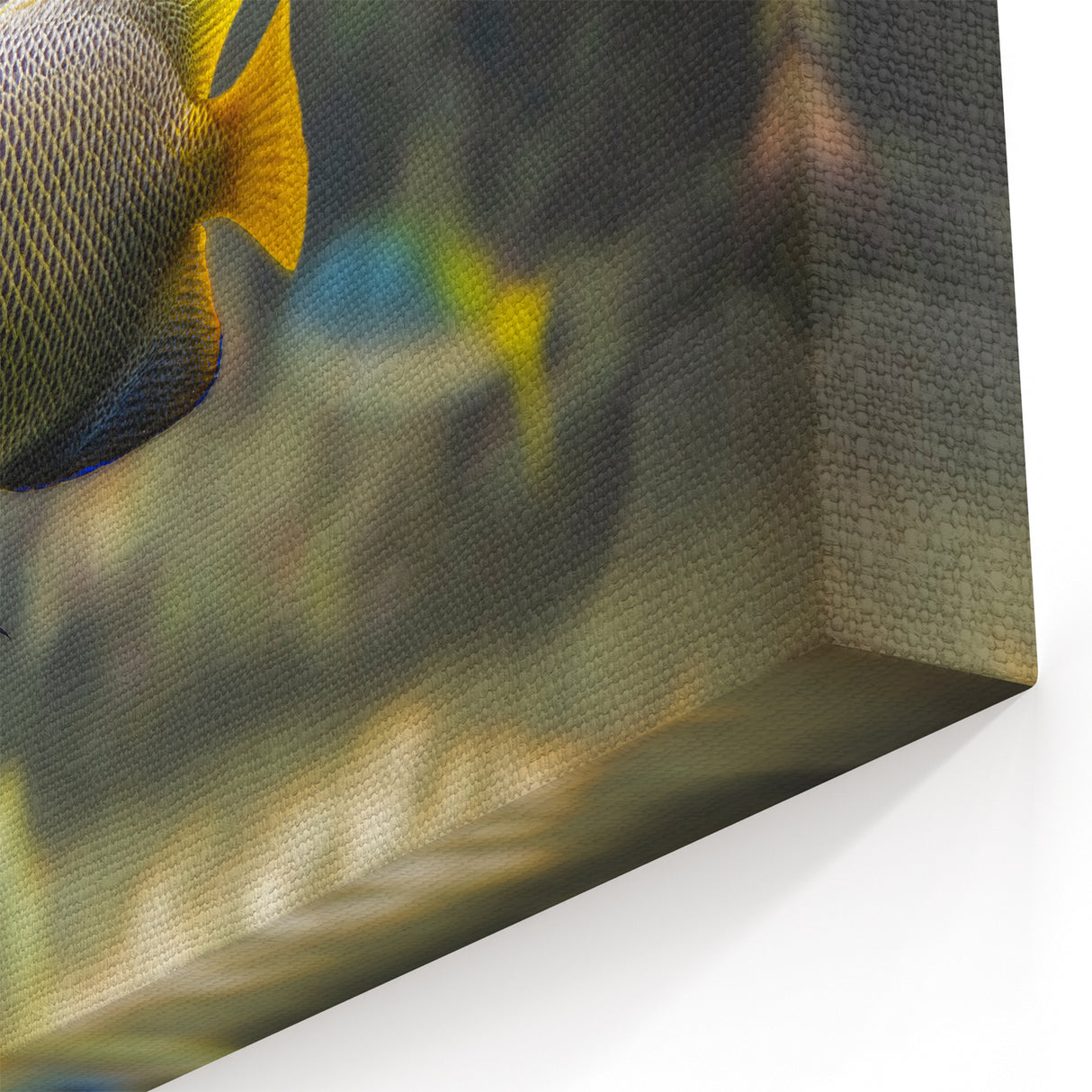 Tropical Marine Fish Print – Vibrant Oceanic Artwork