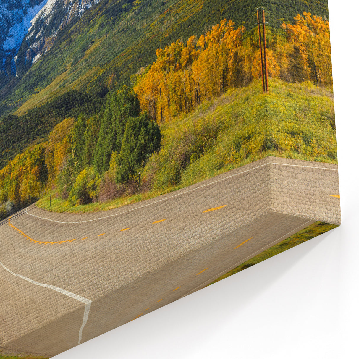 Aspen Scenic Canvas Art - Golden Autumn Trees with Snowy Colorado Peaks