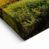 Aspen Scenic Canvas Art - Golden Autumn Trees with Snowy Colorado Peaks