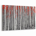 Aspen Scenic Wall Art - Black and White Forest with Vibrant Red Leaves