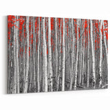 Aspen Scenic Wall Art - Black and White Forest with Vibrant Red Leaves