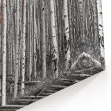 Aspen Scenic Wall Art - Black and White Forest with Vibrant Red Leaves