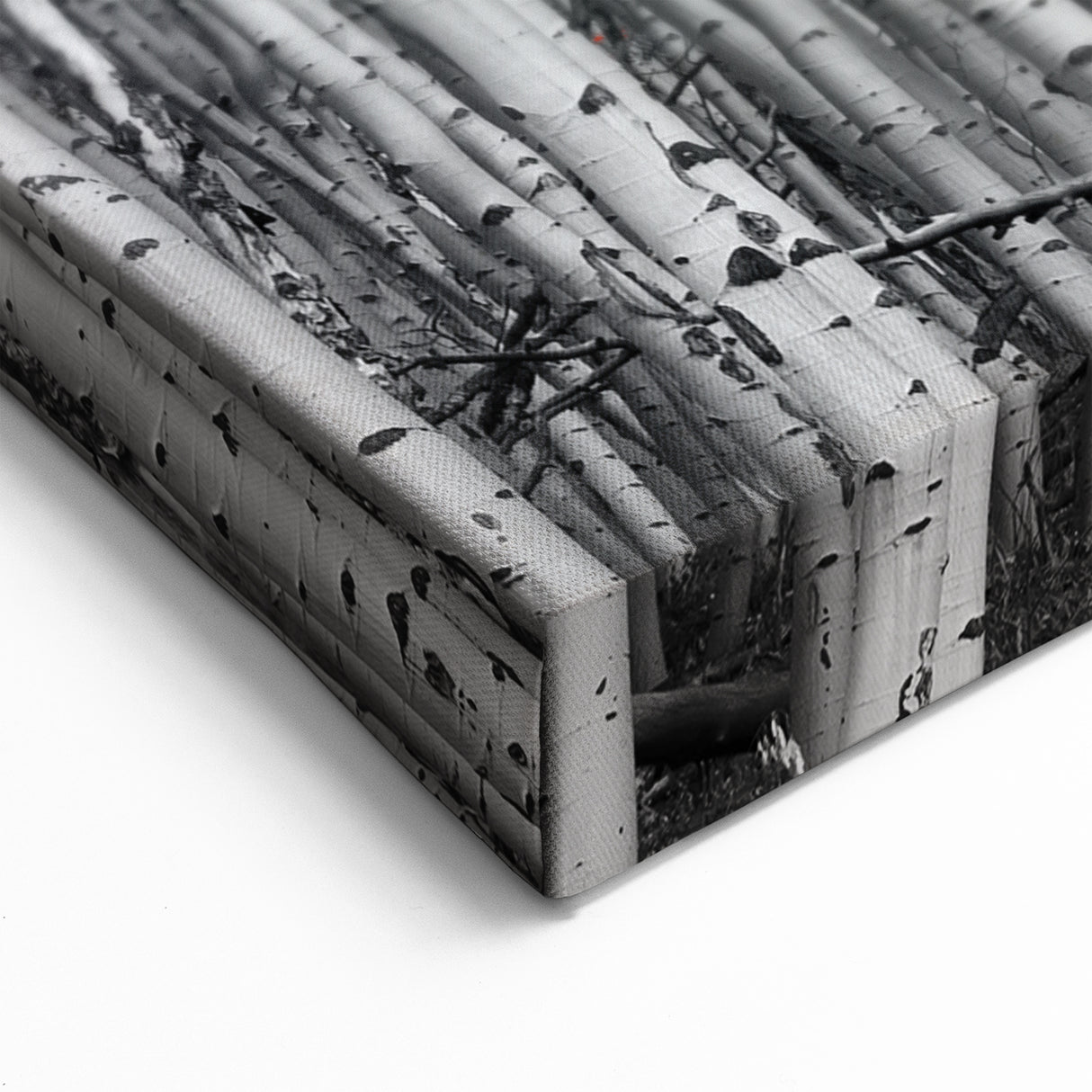 Aspen Scenic Wall Art - Black and White Forest with Vibrant Red Leaves