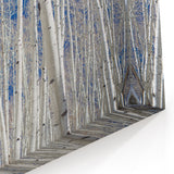 Aspen Nature Photography - Colorado Aspen Trees Against Deep Blue Sky