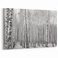 Aspen Canvas Art - Black and White Aspen Forest with Striking Contrast