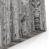 Aspen Scenic Prints - Black and White Aspen Tree Forest Photography