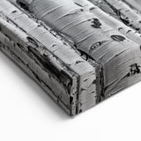 Aspen Scenic Prints - Black and White Aspen Tree Forest Photography