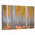 Aspen Canvas Art - Autumn Aspen Trees with Vibrant Orange Leaves