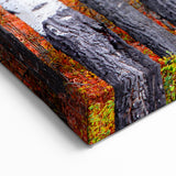Aspen Canvas Art - Autumn Aspen Forest with Brilliant Orange and Red Leaves