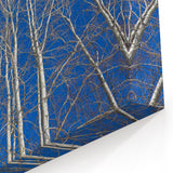 Aspen Scenic Wall Art - Bare Aspen Trees Against a Deep Blue Sky