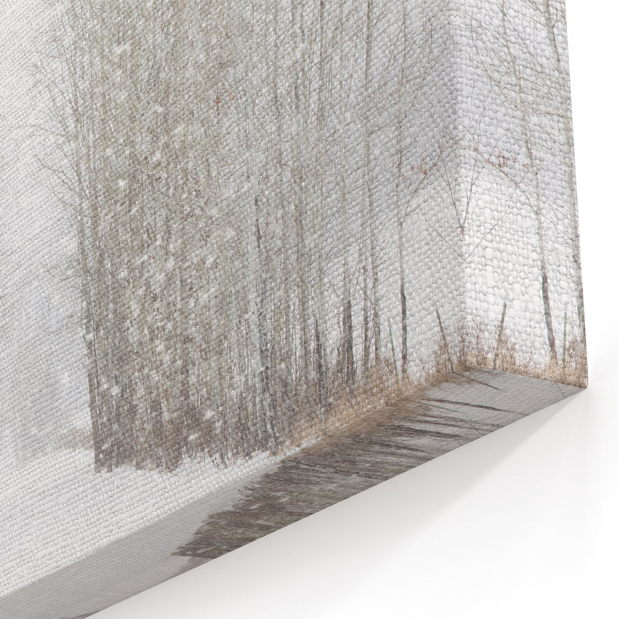 Aspen Scenic Prints - Snowy Aspen Trees and Pathway in Winter Wonderland