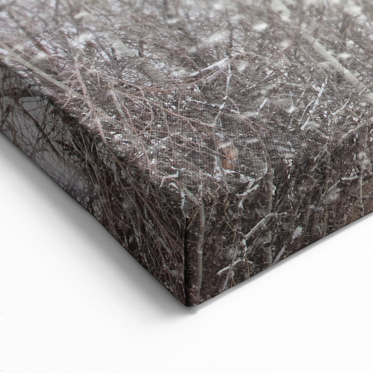 Aspen Scenic Prints - Snowy Aspen Trees and Pathway in Winter Wonderland