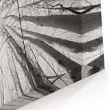 Aspen Nature Photography - Upward View of Aspen Trees in Winter